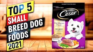 Best Small Breed Dog Food 2022 | Top 5 Small Breed Dog Foods