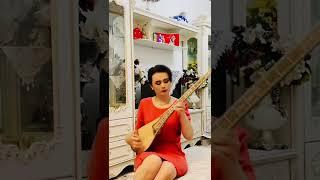 Uyghur tembur music -Qer nawa｜مۇقامدىن ئارىيە