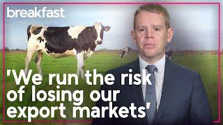 Hipkins warns farmers after agriculture cut from ETS | TVNZ Breakfast