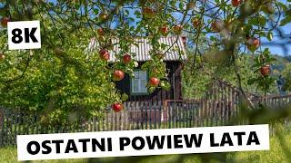 Ostatni powiew lata w Polsce [8K]