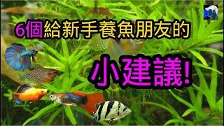 6個給新手養魚朋友的小建議! 讓你少走彎路 | 水族系列