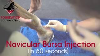Navicular Bursa Injection In A Horse