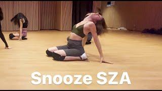 snooze SZA (Liya K)