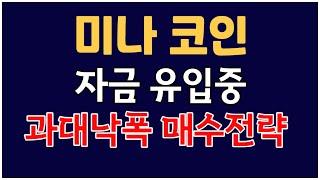 미나 코인 - 글로벌 자금 유입중..!? 과대낙폭 매수 전략 체크하세요!!