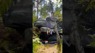 Gorilla Fish(Fb 7a) in Franchard Druides #fontainebleau #bouldering #climbing #fitness #fun #nature