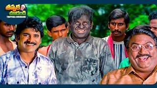 Nagarjuna And Brahmanandam Telugu SuperHti Full Comedy Scene | @ThappakaChudandi9