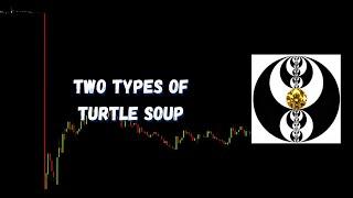 ICT Gems - Two types of Turtle Soup