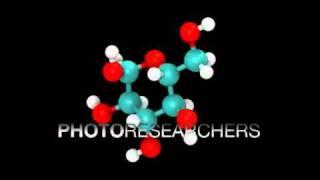 Glucose Molecule - Photo Researchers