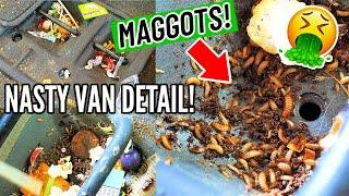 Car Detailing A Maggot Infested Honda Odyssey Minivan! Complete Disaster Cleaning Transformation