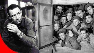 ⭐Película Ganadora de un Oscar mejor actor, William Holden, Stalag 17, Drama, II Guerra Mundial