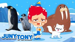 Polar Region Animals |  Penguins, Polar Bear, Walrus | Animal Songs and Stories | JunyTony