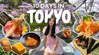 TOKYO, JAPAN | Food guide & things to do (25-course omakase, best cherry blossom spot and more!)