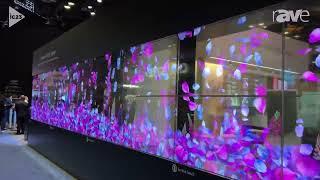 LG Business Solutions Creates Stunning Transparent OLED Display for InfoComm 2023