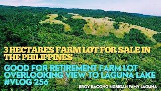 #vlog256 FARM LOT FOR SALE IN PHILIPPINES - 3 HECTARES - TCT TITLE - 350 PESOS PER SQM