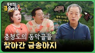  환영해유~️충청도의 동막골을 찾아간 금송아지 | 우리집 금송아지 69회 다시보기
