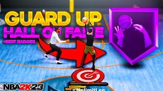 is GUARD UP BADGE HALL OF FAME BROKEN in NBA 2K23? BEST SHOOTING BADGES in NBA 2K23!