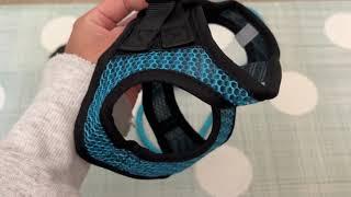 Matilor Dog Harness Showcase