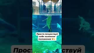 УРОВЕНЬ ТВОЕЙ САМООЦЕНКИ ПОСЛЕ КНИГИ #менядостаточно #вероникатюрина #заботаосебе #психолог #книги