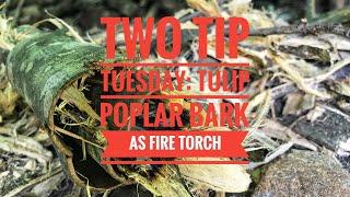 Two Tip Tuesday: Tulip Poplar Bark as a Fire Torch