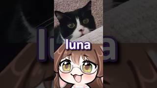 Luna, the guardian of the house  #vtuber