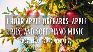 Autumn Ambience Apple Trees Meditation Music | Pies, Orchards, Piano