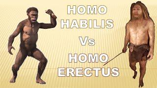 Homo Habilis vs. Homo Erectus: An Evolutionary Journey Through Anatomy and Physiology