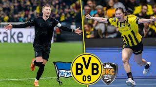 Successful black-yellow double matchday! | BVB - Siofok KC 26-23 & BVB - Hertha Berlin 4-1