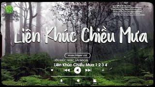 LK Chiều Mưa Hải Ngoại Hay Nhất Mọi Thời Đại - Phố Mưa, Tình, Ai Đi Ngoài Sương Gió, Ngàn Thu Áo Tím