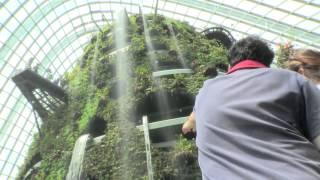 Gardens by the Bay Opening.mp4