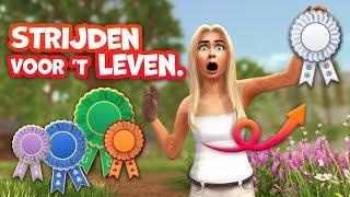 STRIJDEN TIJDENS MEGA VEEL CHAMPS VOOR LINTEN ! | Starstable Let's Race | Riley Macstreet (NL)