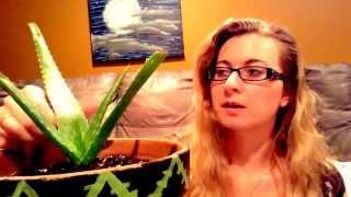 Herbs in Wicca: Aloe Vera