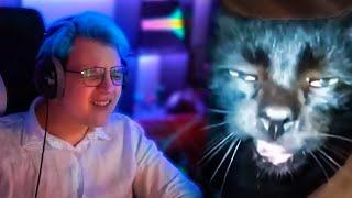 Это змея? МЯЯЯУУ