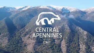 World Rewilding Day 2022 | Message from Rewilding Apennines | This is #WhyWeRewild