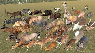 Even-Toed Ungulates Animal Speed Comparison in 3D Animation | Realistic World Data