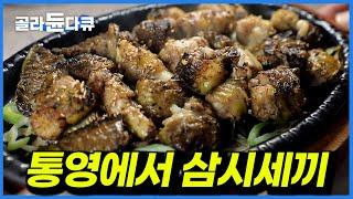 맛집 많은 통영에서 새벽 아침 뜨끈한 국밥부터 저녁에 먹장어까지ㅣ참돔회 한 접시에 15,000원? 뜻밖의 횡재에 입맛 다시며 자리 잡은 로컬 식당ㅣ한국기행│#골라듄다큐