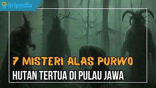 Mengunkap 7 Misteri Alas Purwo yang Menyeramkan