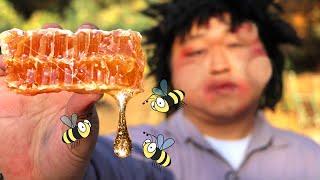 [bogil] 최후의 벌집 먹방