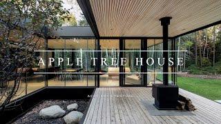 Glass Wrapped House Design Around Apple Tree Courtyard With Views Of The Surrounding Forest