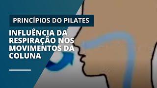 PRINCÍPIOS DO PILATES - Respiração | Qual a influência da Respiração nos movimentos da coluna?