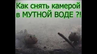 Как снять камерой в МУТНОЙ ВОДЕ. Снимал при помощи бокса для съёмки в мутной воде. Рыбалка. Fishing