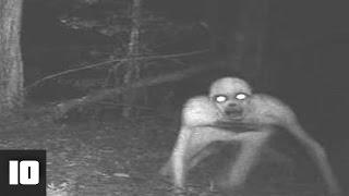 10 Scary Camera Trap Photos You Won’t Believe Actually Exist | LIST KING