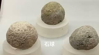 河姆渡遺址博物館/距今5000至7000年的河姆渡文化、中國最早的木構水井、中國最早人工種植的茶樹、鎮館之寶「雙鳥朝陽象牙蝶形器」