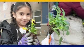 Spring Sprouts: Cultivating Success in School Attendance