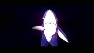 Dancing Shark Free2use/Free2use Nation