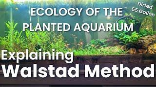 COMPLETE Guide to WALSTAD METHOD - 55 Gallon DIRTED Planted Tank (Low Tech Aquarium)