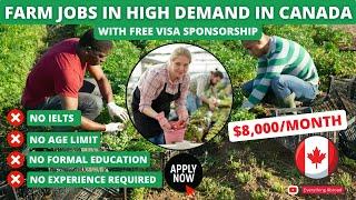 Farm Jobs In Canada With Free Visa Sponsorship In 2024 | No Education, No Experience Required