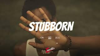 Afrobeat Instrumental 2024 | Omah Lay x Asake ft Victony Type Beat - STUBBORN