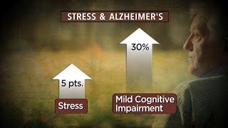 Stress linked to mental decline in seniors