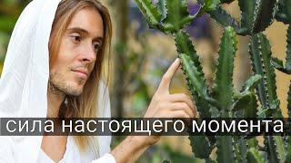 Осознанность. Как жить в Настоящем Моменте? Искусство Медитации