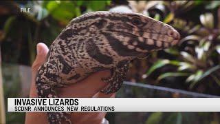 Invasive lizard species banned from South Carolina